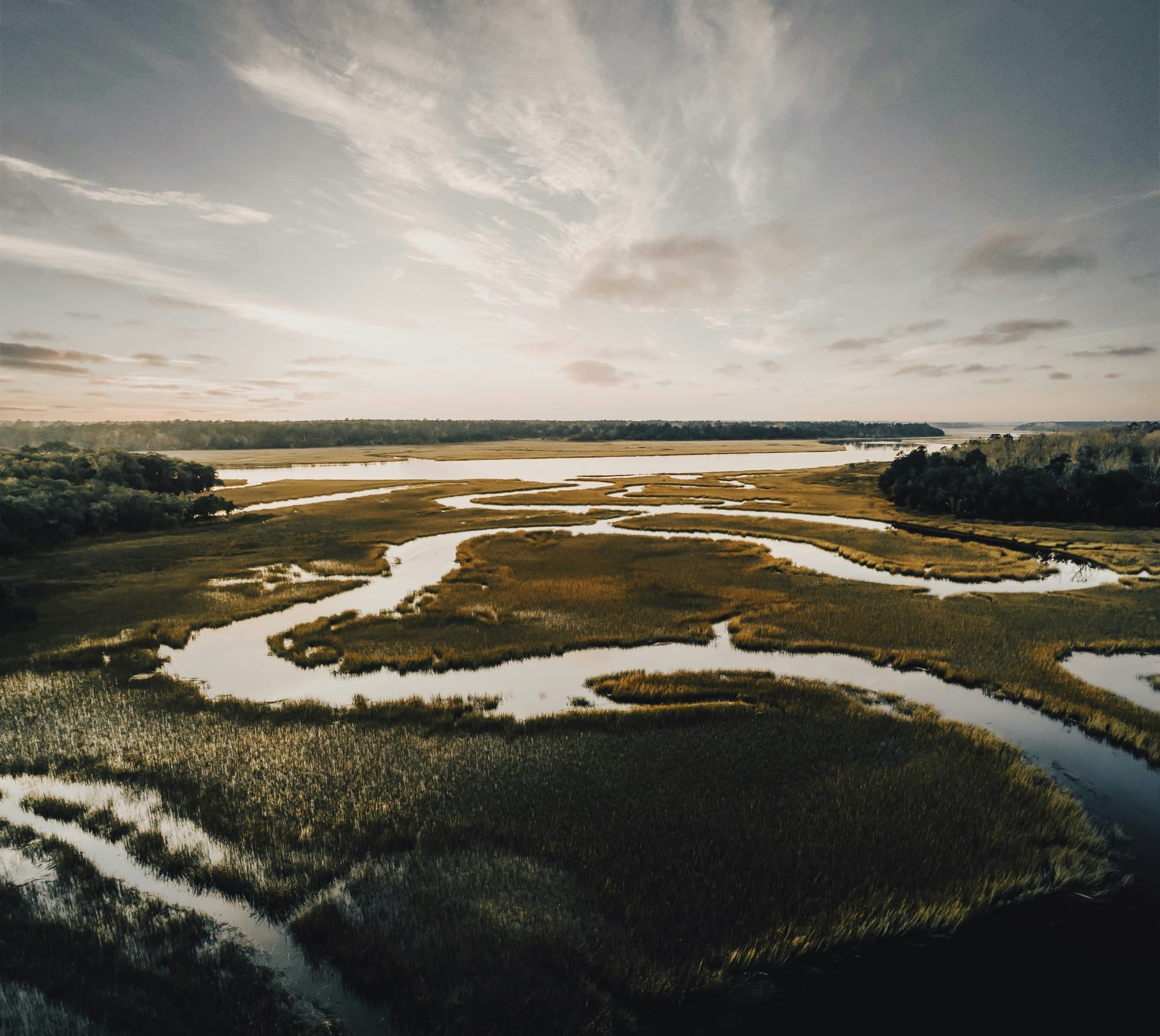 Salt marsh from above